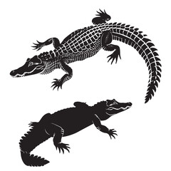 Naklejka premium Crocodiles silhouette isolated in White background
