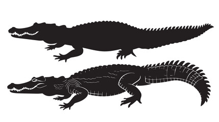 Obraz premium Crocodiles silhouette isolated in White background