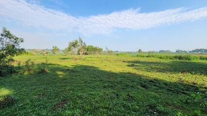 Fogg Dam in Northern Territory Australia