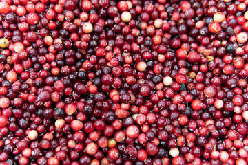 healthy red ripe fresh background lingonberry harvest organic food cranberry fruit market