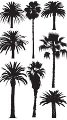 date palm trees silhouette vector , black silhouettes isolated on white background 