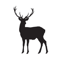 Obraz premium Deer silhouette isolated in White background