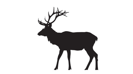 Deer silhouette isolated in White background