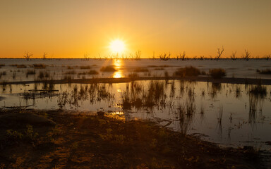 Sunset with the sun low in the sky and reflections of the light on the water, reeds in the foreground and dead trees far out in Lake Pamamaroo near Menindee in New South Wales, Australia.