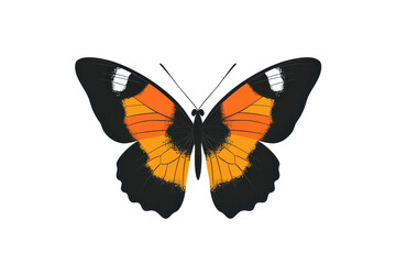 Fototapeta premium Stunning butterfly illustration with vibrant orange, yellow, and black wings on a transparent background. showcasing nature's beauty and symmetry.