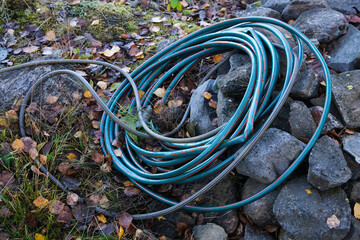 Garden hose on the ground