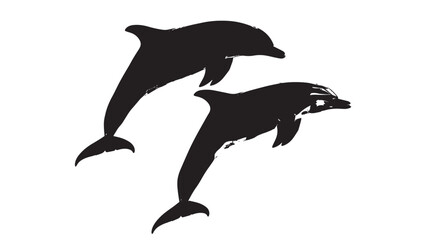 Obraz premium Dolphins silhouette isolated in White background