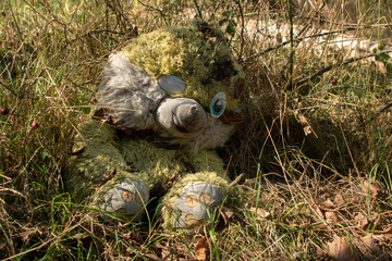 Old dirty plush rabbit toy	