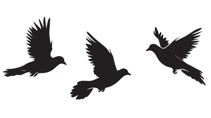 Obraz premium Doves silhouette isolated in White background