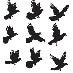 Obraz premium Doves silhouette isolated in White background