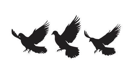 Obraz premium Doves silhouette isolated in White background