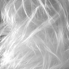 Obraz premium close up of feather light white fur texture, showcasing flowing strands and delicate fibers that create soft and airy appearance