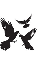 Obraz premium Doves silhouette isolated in White background