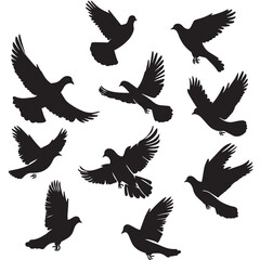 Obraz premium Doves silhouette isolated in White background