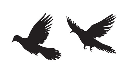 Obraz premium Doves silhouette isolated in White background