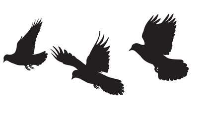 Obraz premium Doves silhouette isolated in White background