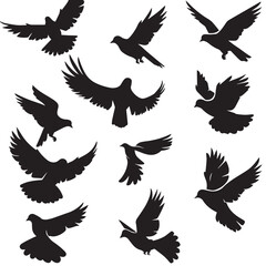 Fototapeta premium Doves silhouette isolated in White background