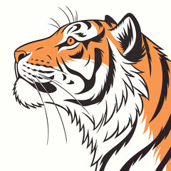 tiger head vector