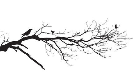 Obraz premium Dry tree branch silhouette with birds