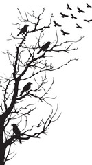 Dry tree branch silhouette with birds