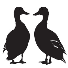 Ducks silhouette isolated in White background