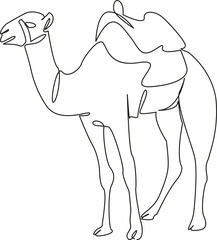 One continuous single drawing line art flat doodle camel, animal, nature, travel, sand, brown, horizontal, mammal, wildlife. Isolated image hand draw contour on a white background
