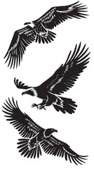 Obraz premium Eagles silhouette isolated in White background