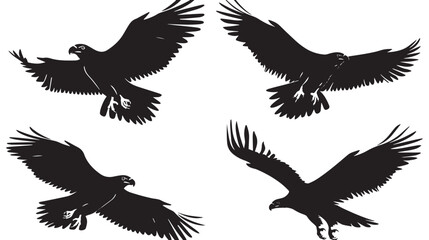 Fototapeta premium Eagles silhouette isolated in White background