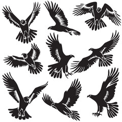 Obraz premium Eagles silhouette isolated in White background