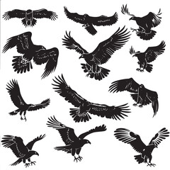 Obraz premium Eagles silhouette isolated in White background