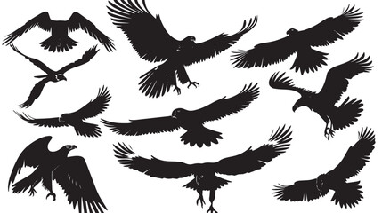 Obraz premium Eagles silhouette isolated in White background