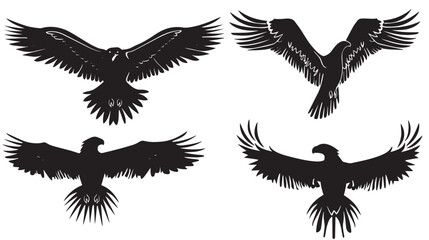 Eagles silhouette isolated in White background