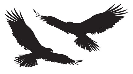 Eagles silhouette isolated in White background