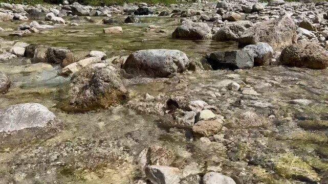 Pollat river in the forest, Germany
