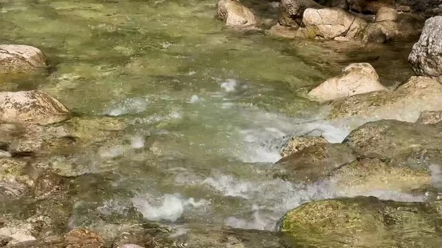 Pollat river in the forest, Germany