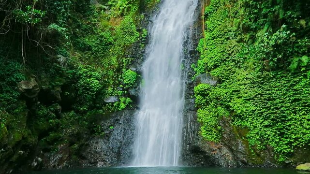 waterfall in the forest