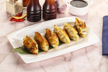 Fried Japanese stuffed dumplings - Gyoza