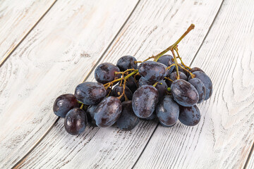 Blue juicy sweet ripe Grape bunch