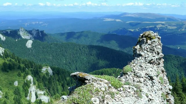 Limestone rock formation typical to the Ciucas Mountains , part of the Carpathian range , in Romania, Eastern Europe , summer landscape overview of the widespread coniferous forests.