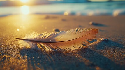 A Single Feather Resting on a Sandy Beach at Sunset