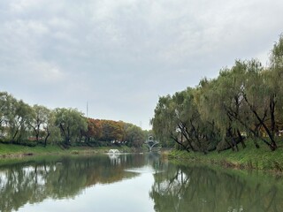 호수가 있는 풍경