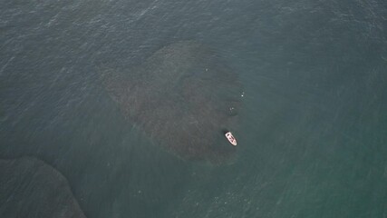 Boat and Divers Surrounded by Huge Sardine Bait Ball during Sardine Run in South Africa