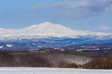 3月美瑛の風景