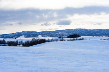 Fototapeta premium 3月美瑛の風景