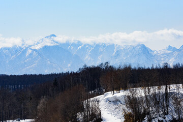 3月美瑛の風景