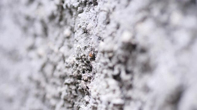 close up wall texture slow motion