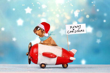 French Bulldog enjoys a ride in an aircraft, with a banner for merry christmas