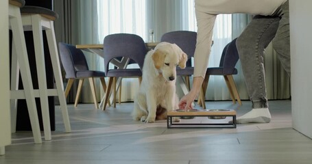 A man takes a dog's feeding plate to bring food. The dog is waiting for his food at the bowl