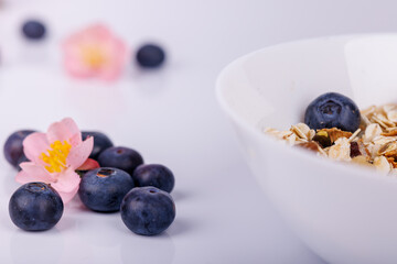 Detailed bowl of cereal with fresh blueberries and scattered berries on a white background, offering a close-up view of this healthy breakfast