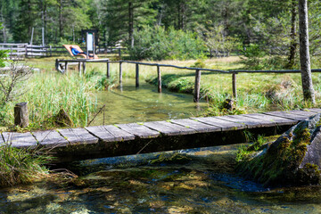 Relaxation zone in the forest